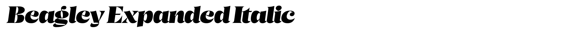 Beagley Expanded Italic image